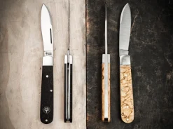 Barlow Prime Maserbirke