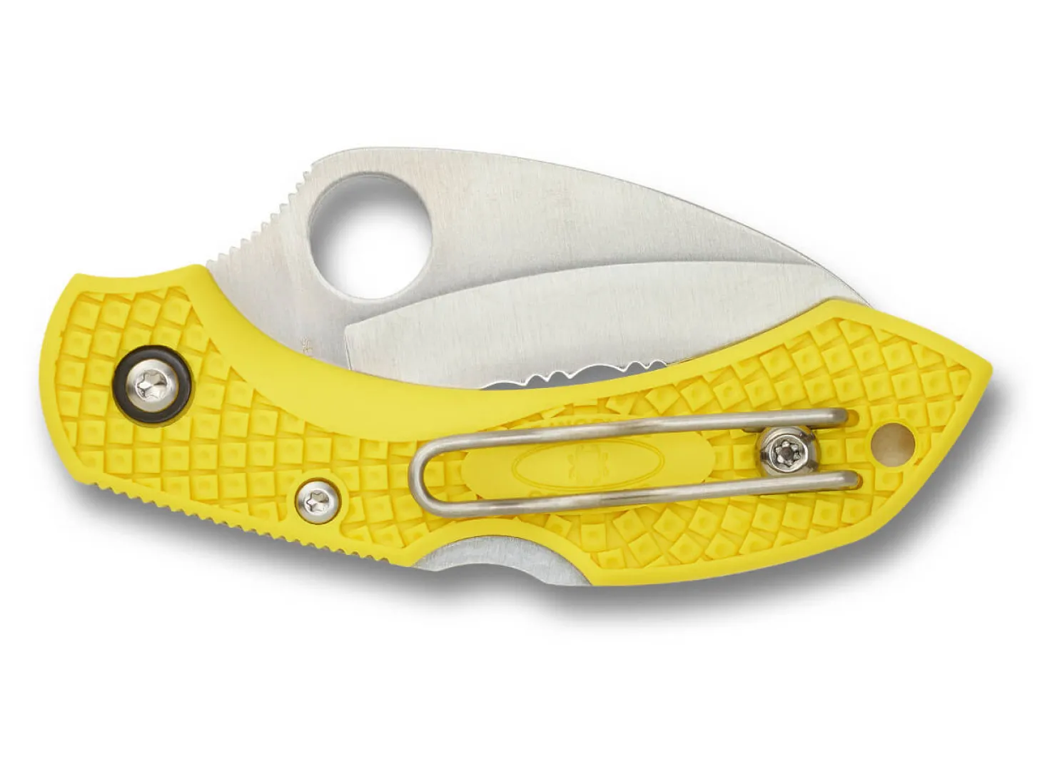 Dragonfly 2 Salt Hawkbill