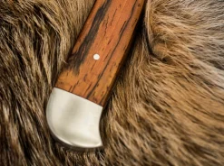 Försternicker Cocobolo