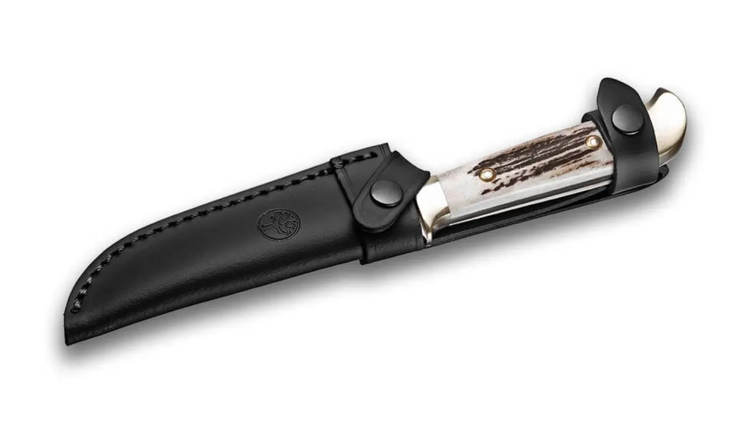 Försternicker Hirschhorn