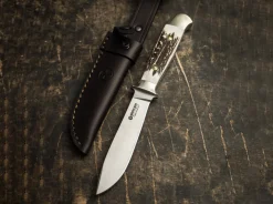 Försternicker Hirschhorn