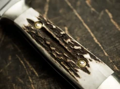 Försternicker Hirschhorn