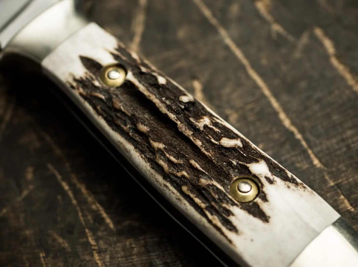 Försternicker Hirschhorn