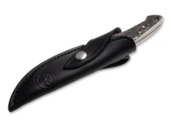 Integral II Hirschhorn