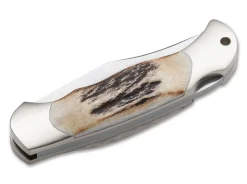 Junior Scout Hirschhorn