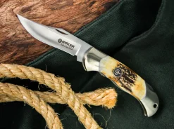 Junior Scout Hirschhorn