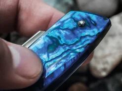 Paua